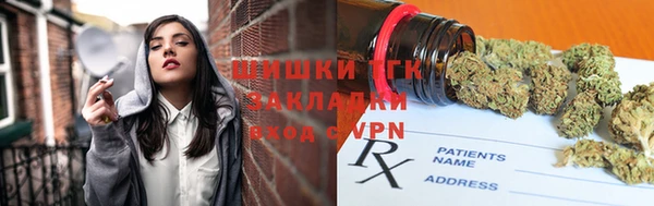 прущие грибы Богданович