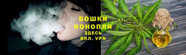 молекула духа Бородино
