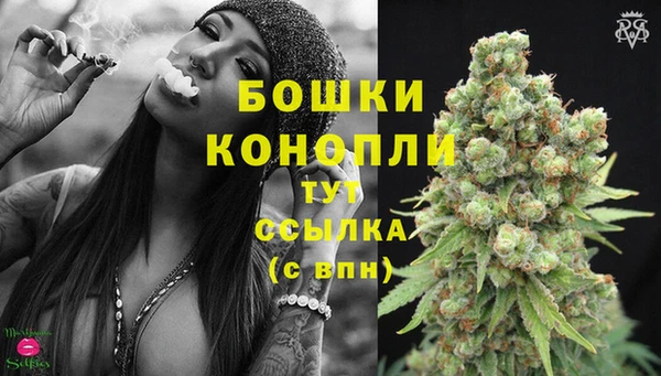 экстази Бикин