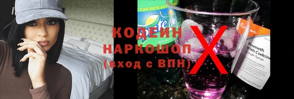 молекула духа Бородино