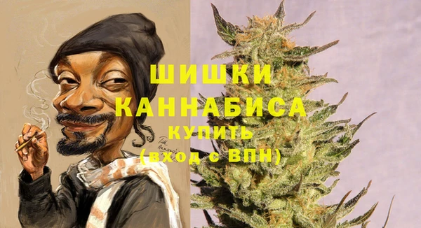apvp Беслан