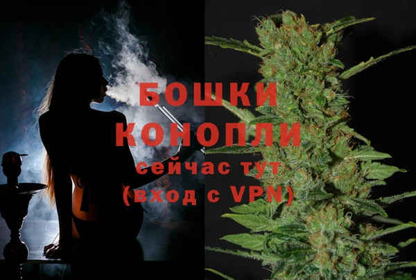 прущие грибы Богданович