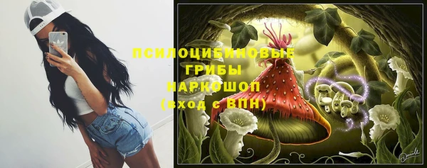 молекула духа Бородино