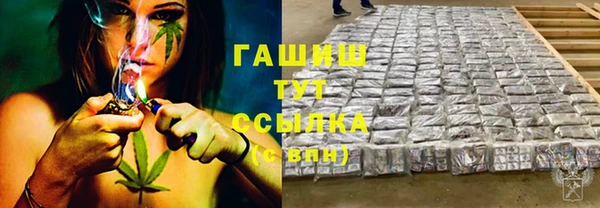 молекула духа Бородино