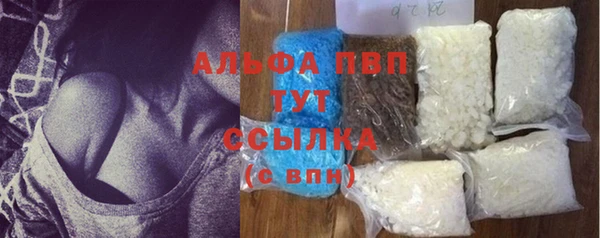 прущие грибы Богданович
